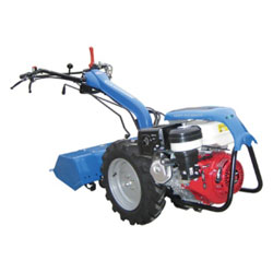 Tuinmachines en Gereedschappen